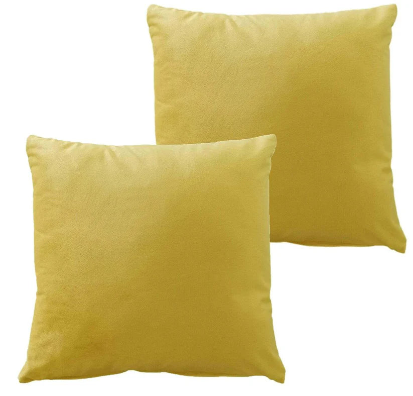 Pack of 2 Ultra-Soft Matte Velvet Cushion Covers 17x17 Inch