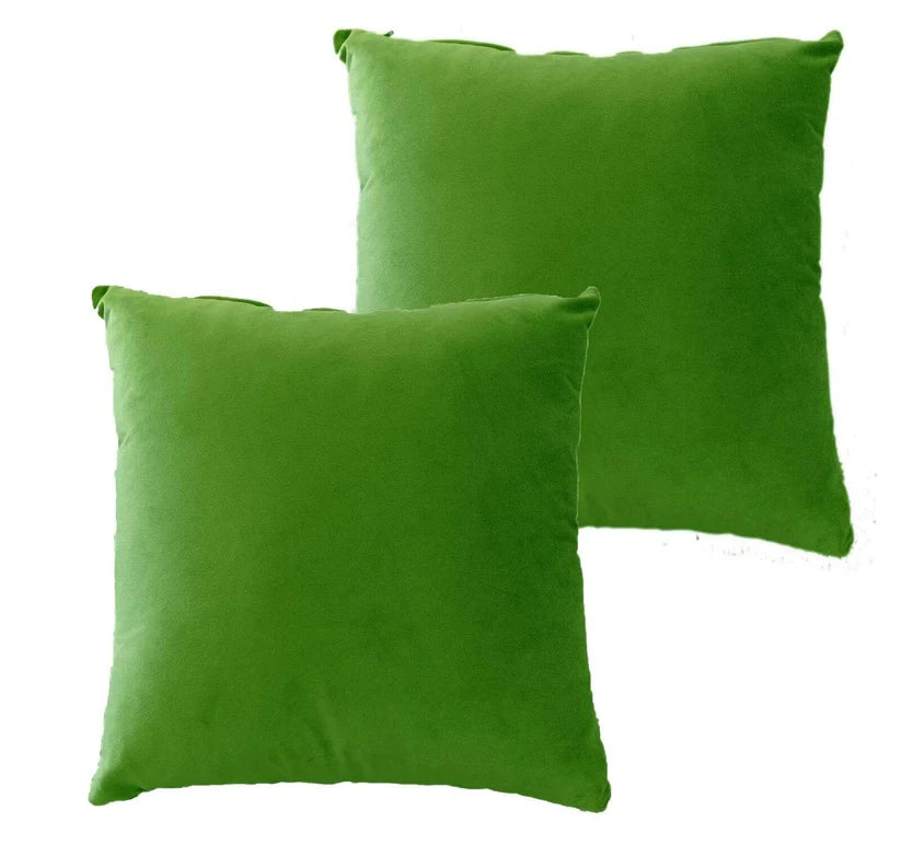 Pack of 2 Ultra-Soft Matte Velvet Cushion Covers 17x17 Inch